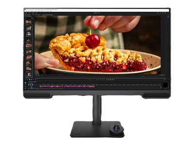 PV3200U - LED monitor - 4K - 32"