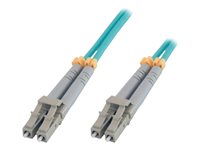 MCL Samar Cables et cordons r�seaux FJOM3Z/LCLC-1M