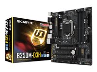 Gigabyte GA-B250M-D3H - 1.0 - motherboard