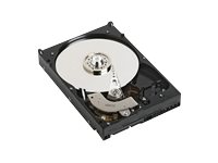 Dell - Hard drive - 600 GB
