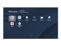 Viewsonic Moniteurs 65'' CDE6514-2C