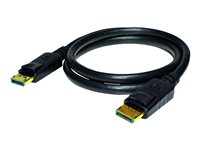 Weltron DisplayPort cable DisplayPort (M) latched to DisplayPort (M) latched 6 ft 
