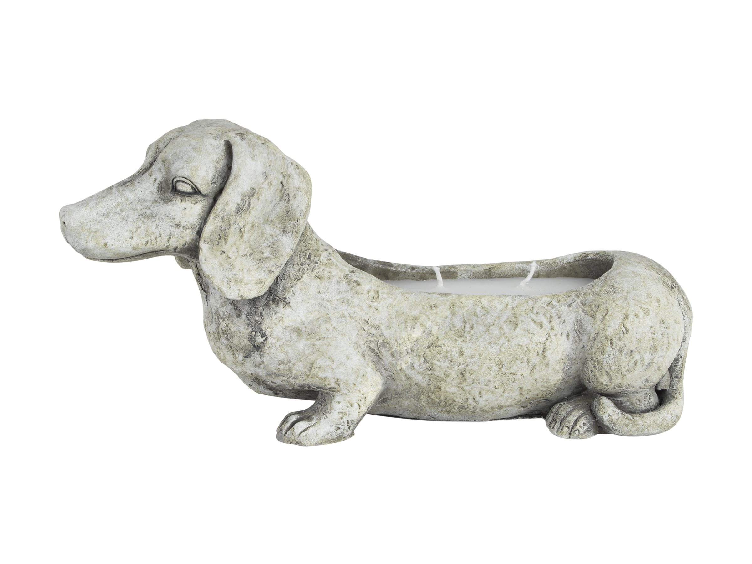 Patio Essentials Candle Holder with Candle - Citronella - Dog