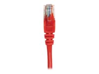 Intellinet Network Patch Cable, Cat5e, 0.25m, Red, CCA, SF/UTP, PVC, RJ45, Gold Plated Contacts, Snagless, Booted, Lifetime Warranty, Polybag - patch cable - 25 cm - red