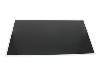 Dell - 17.3" (43.9 cm) HD+ WLED non-touch 16:9 TrueLife 60% NTSC color gamut 220-nits brightness eDP1.2 ISP(0-2 Bright Dots) bend mech type RGB stripe pixel type LCD display panel