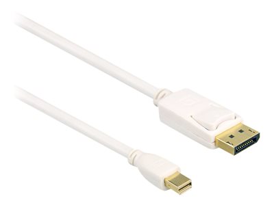 Axiom - DisplayPort cable
