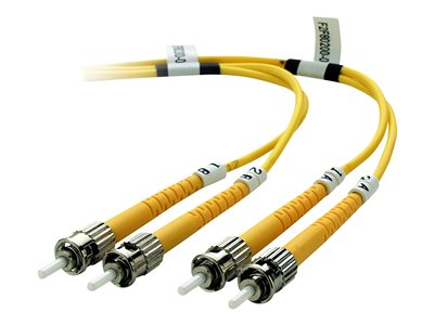 Belkin - Patch cable