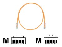 Panduit TX6 PLUS - Patch cable