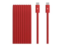 Beats - USB-C cable - USB-C to USB-C - 3 m