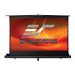 Elite Screens ezCinema Tab-Tension Series