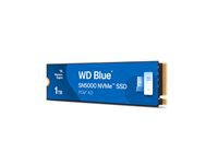 Western-Digital Blue WDS100T4B0E
