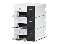 EPSON SureLab SL-D500