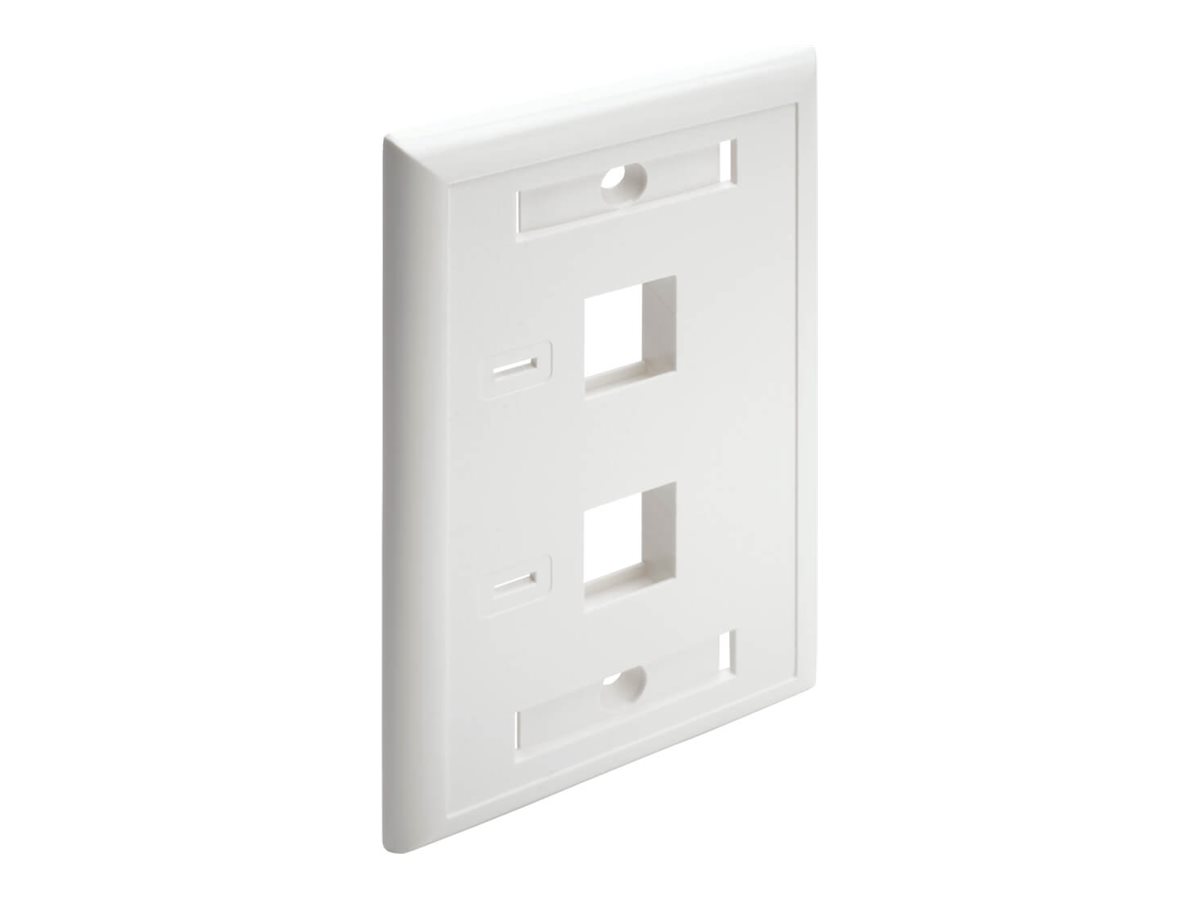 Tripp Lite Dual Outlet RJ45 Universal Keystone Face Plate / Wall Plate