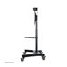 NEOMOUNTS NeoMounts floor stand 32-75p