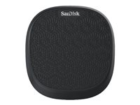 Sandisk Cls USB SDIB20N-032G-GN9UN