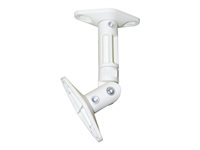 NEOMOUNTS SPEAKER-W100 Speaker Mount