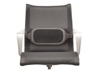 FELLOWES i-spire coussin lombaire