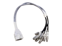 Cisco - Câble d'antenne - RP-TNC pour connecteur RF DART - 61 cm 