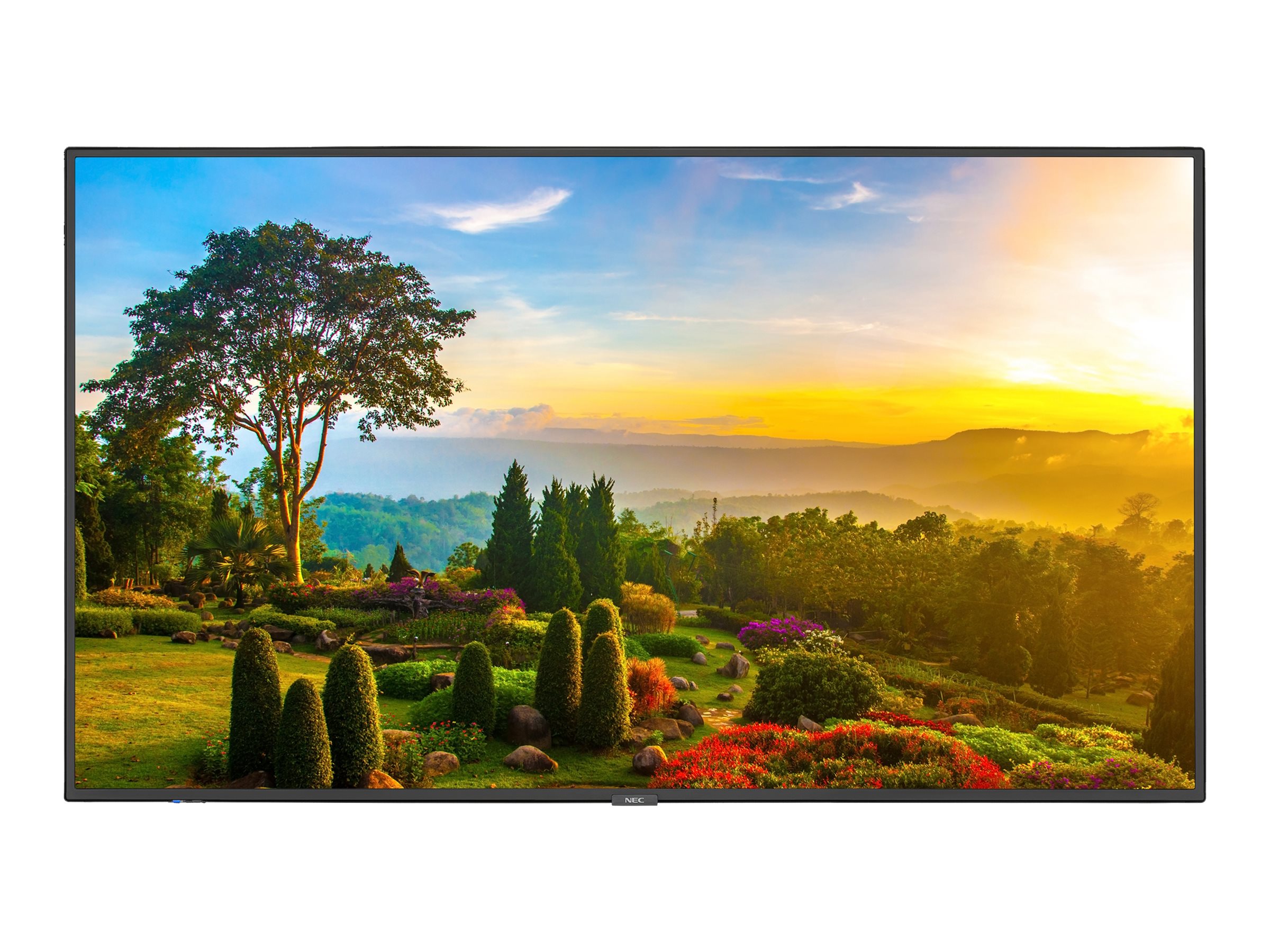 NEC MultiSync M551-MPI4E