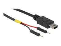DeLOCK 4 pin mini-USB Type B (male) - 2 pin USB-samlestykke (male) Sort 10cm USB / strøm kabel