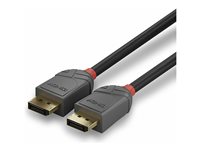 C ble DisplayPort 1.1 Anthra Line, 15m