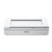 Epson TDSourcing WorkForce DS-50000