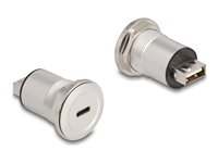 Delock USB-C adapter Sort Sølv