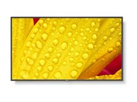 NEC MultiSync M431-2 43' Digital skiltning 3840 x 2160