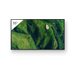 Sony Bravia Professional Displays FW-55BZ35P