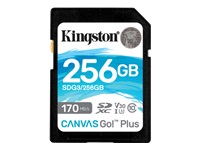 Kingston Canvas Go ! Plus SDG3/256GB