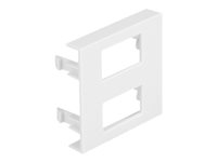Delock Easy 45 Module Plate 2 x Rectangular cut-out 12.5 x 21.5 mm, 45 x 45 mm 5 pieces white