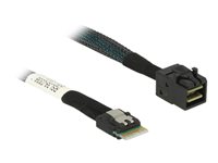 DeLOCK Serial Attached SCSI (SAS) internt kabel Sort 50cm