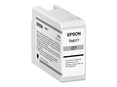 Epson T46Y - 50 ml - gray