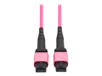 Eaton Tripp Lite Series 100G Multimode 50/125 OM4 Fiber Optic Cable (12F MTP/MPO-PC F/F), OFNP, Magenta, 1 m (3.3 ft.), TAA