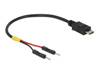 DeLOCK 5 pin Micro-USB Type B (male) - 2 pin USB-samlestykke (male) Sort 10cm USB / strøm kabel