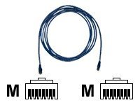 CP Technologies - Patch cable