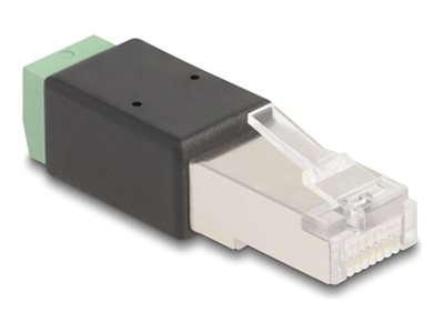 DELOCK RJ45 Stecker zu Terminalblock Adapter 2 Pin