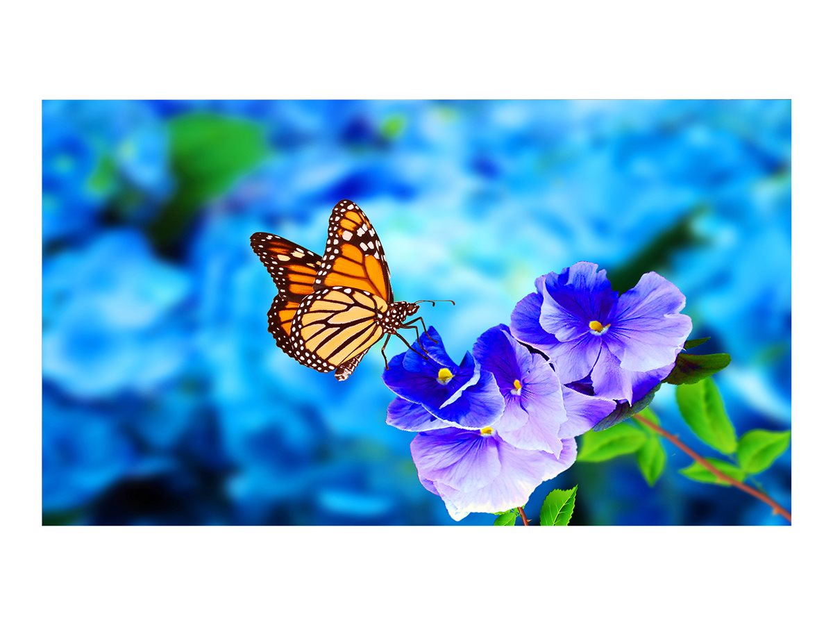 NEC MultiSync UN552VS 55" displej LCD s LED podsvícením - Full HD - pro digital signage / interaktivní komunikace – foto 2