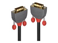 Lindy Cble et connectique vido 36228