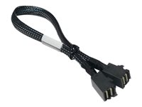 HighPoint Serial Attached SCSI (SAS) internt kabel Sort 60cm