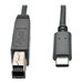 Tripp Lite 3ft USB 3.1 Gen 1.5 Gbps Cable USB Type-C USB-C to USB Type B M/M 3' - USB-C cable - USB Type B to USB-C - 3 ft