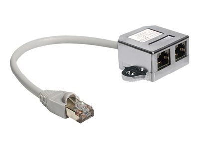 DELOCK RJ45 Adapter RJ45 -> 2x RJ45 St/Bu 0.15m 2 x Ethernet DELOCK RJ45 Adapter RJ45 -> 2x RJ45 St/Bu 0.15m 2 x Ethernet