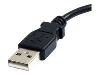 StarTech.com 6 ft Micro USB Cable - A to Micro B - USB to Micro b