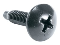Legrand - rack screws - 10-32