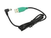 RAM GDS - USB cable - USB (M) to DC jack 5.5 mm (M)