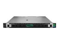 Hewlett Packard Enterprise  Produit (HPE) P58691-421