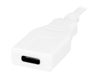 URBAN FACTORY TYPE-C CABLE EXTENSION 1M