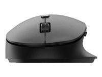 Philips SPK7607B - 6000 Series - mouse - 2.4 GHz, Bluetooth 3.0, Bluetooth 5.0