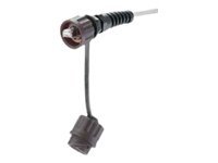 MODPLUG UTP 24AWG EA