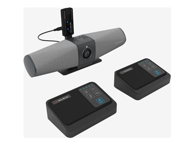 AVerMedia AW111 - Microphone system